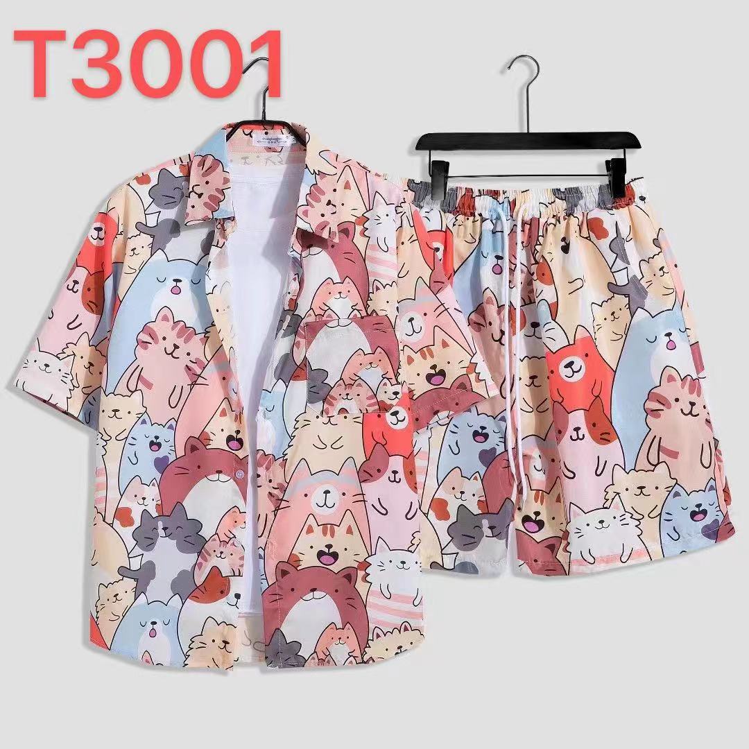 T3001