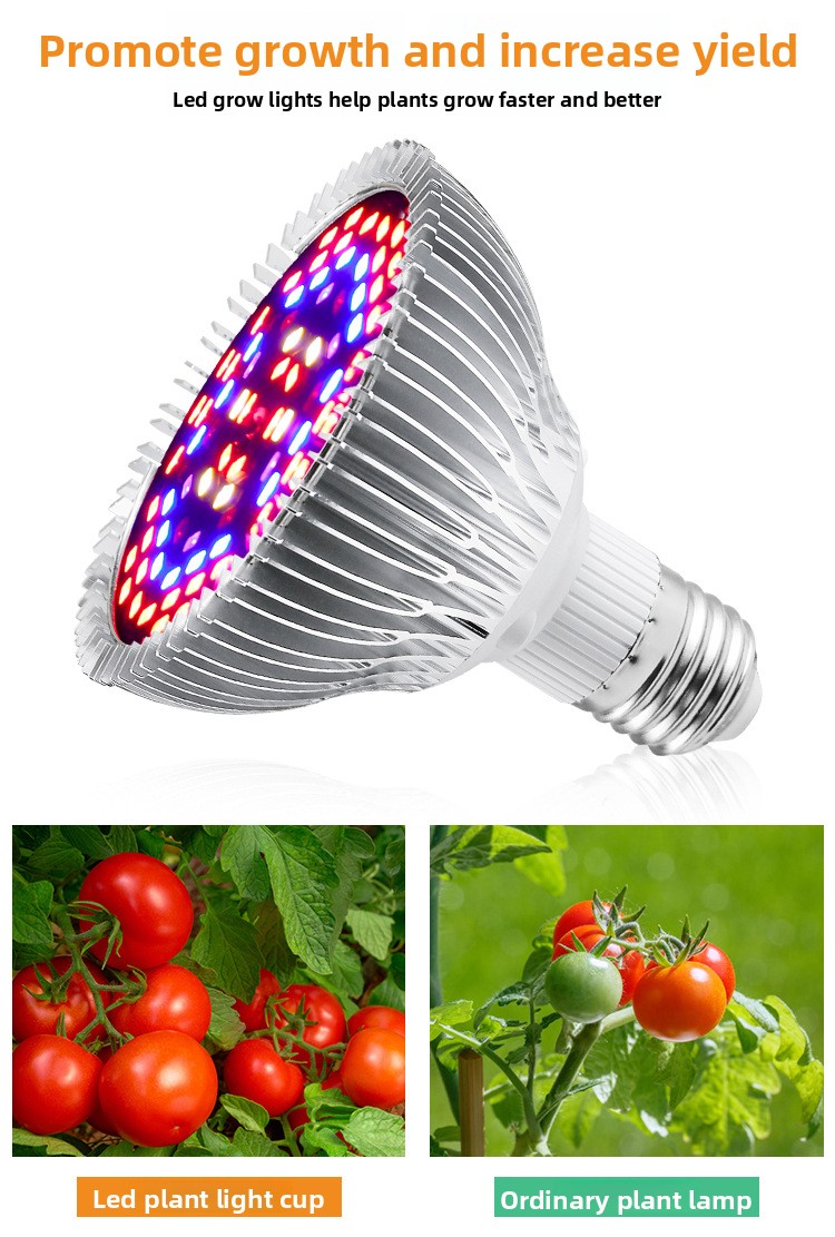 30W-50W-80W??????(????????_06.