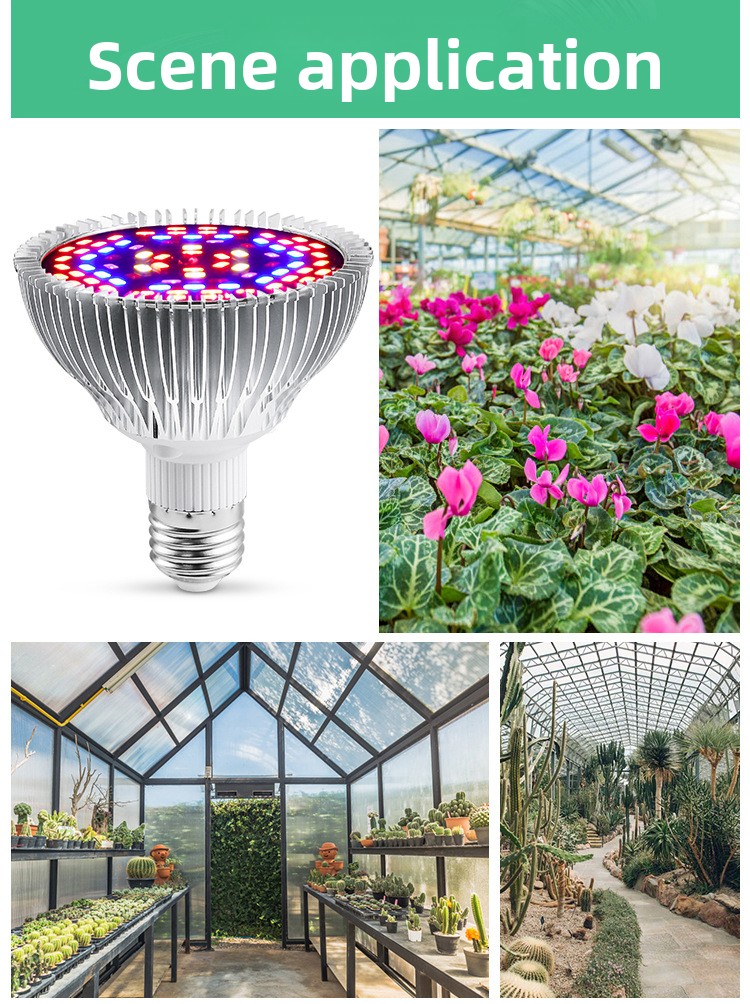 30W-50W-80W??????(????????_09.