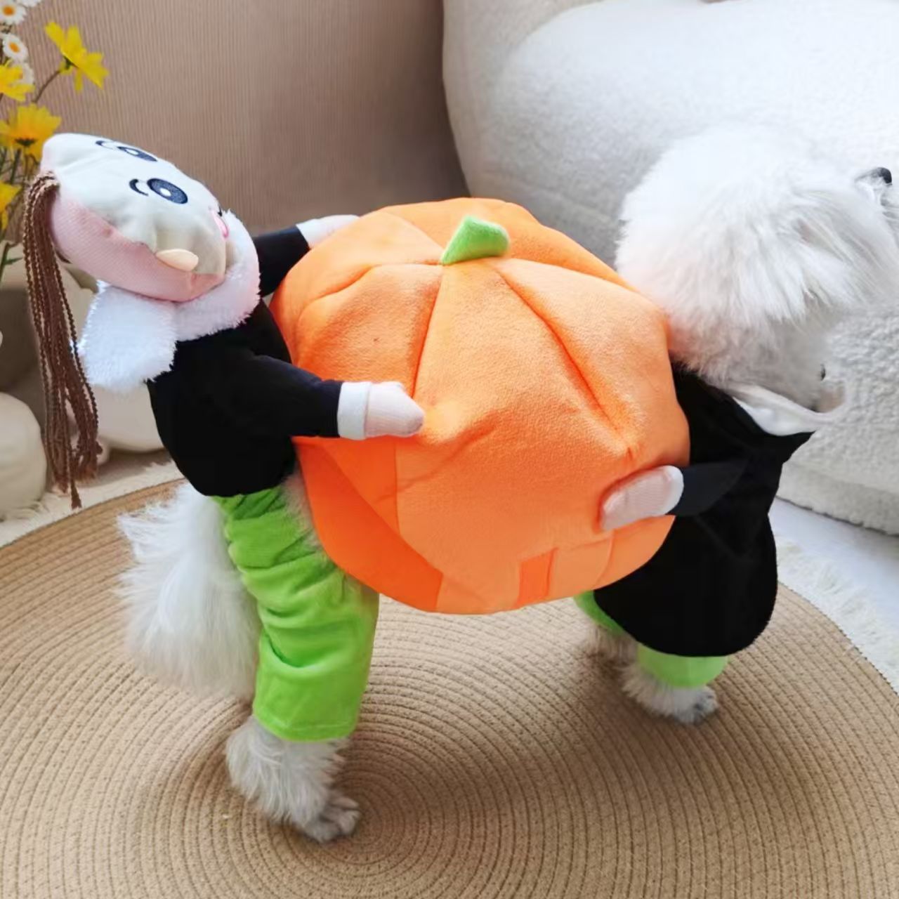 Halloween and Christmas Pumpkin Pet Costume - Cloth - product details