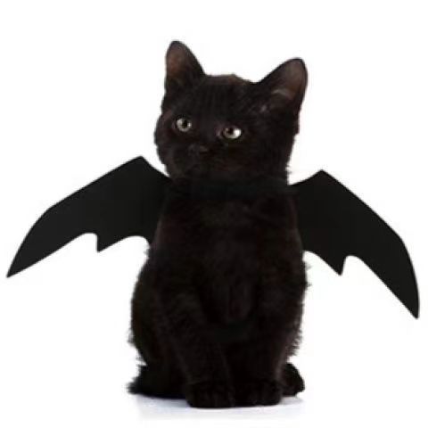 Pet Halloween Bat Wings Costume - product details