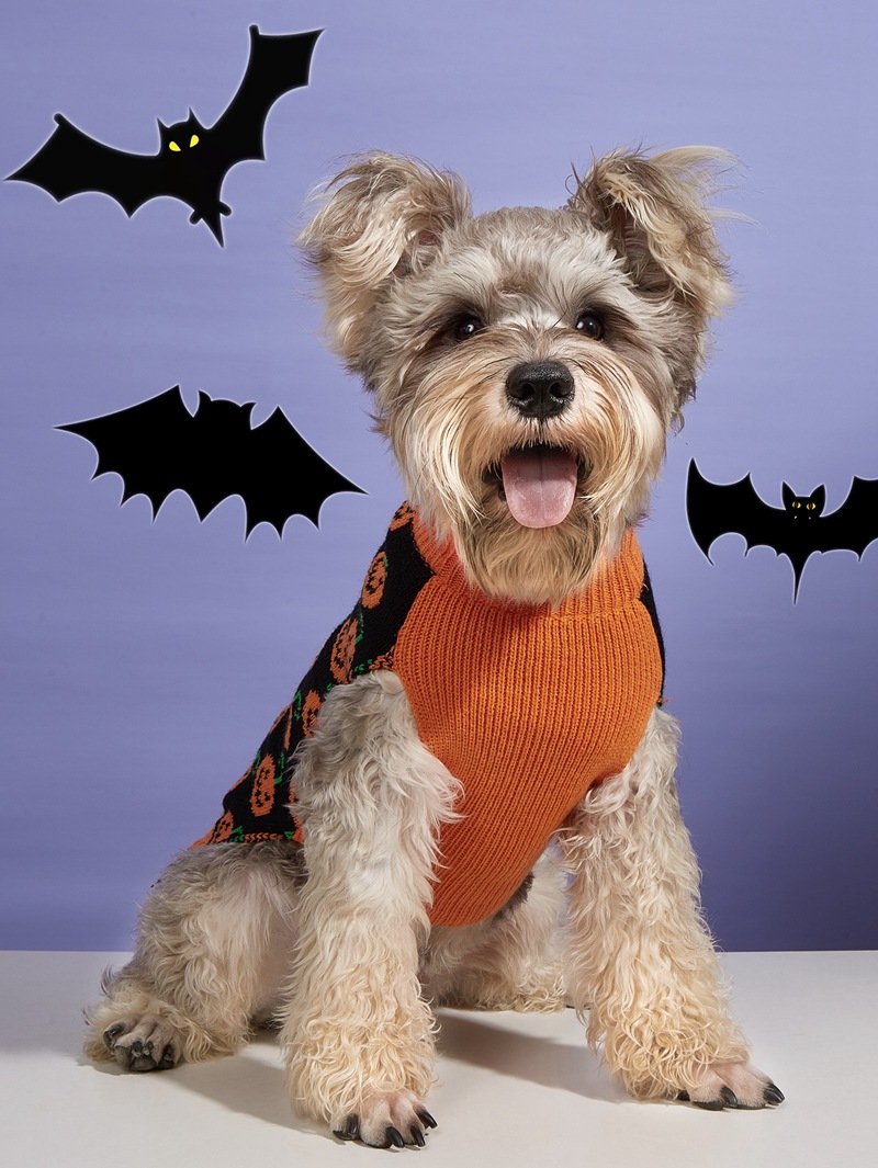 Halloween Pumpkin Knit Pet Sweater - Acrylic - product details