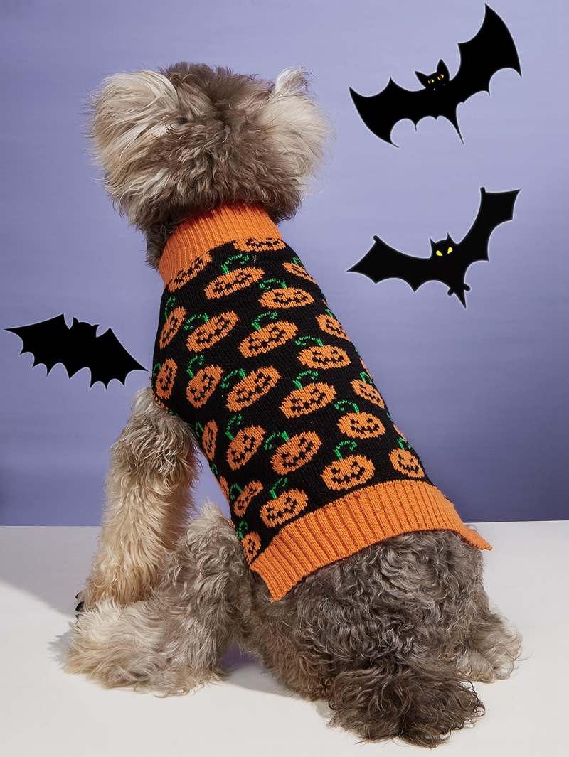 Halloween Pumpkin Knit Pet Sweater - Acrylic - product details
