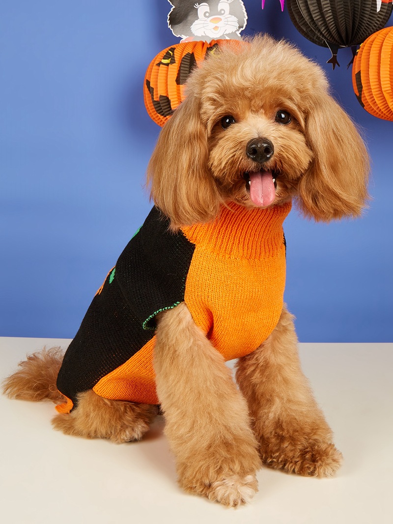 Halloween Pumpkin Knit Pet Sweater - Acrylic - product details