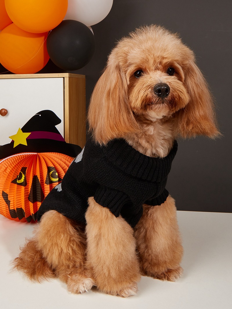 Halloween Pumpkin Knit Pet Sweater - Acrylic - product details