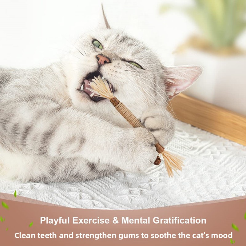 Catnip Teething Stick for Cats – Natural Dental Chew Toy for Healthy Teeth & Gums