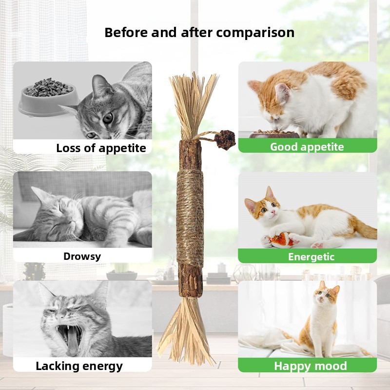 Catnip Teething Stick for Cats – Natural Dental Chew Toy for Healthy Teeth & Gums