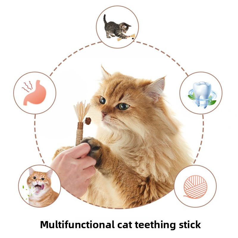 Catnip Teething Stick for Cats – Natural Dental Chew Toy for Healthy Teeth & Gums