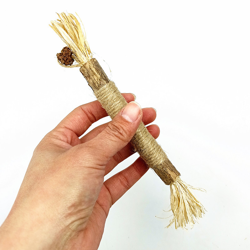 Catnip Teething Stick for Cats – Natural Dental Chew Toy for Healthy Teeth & Gums