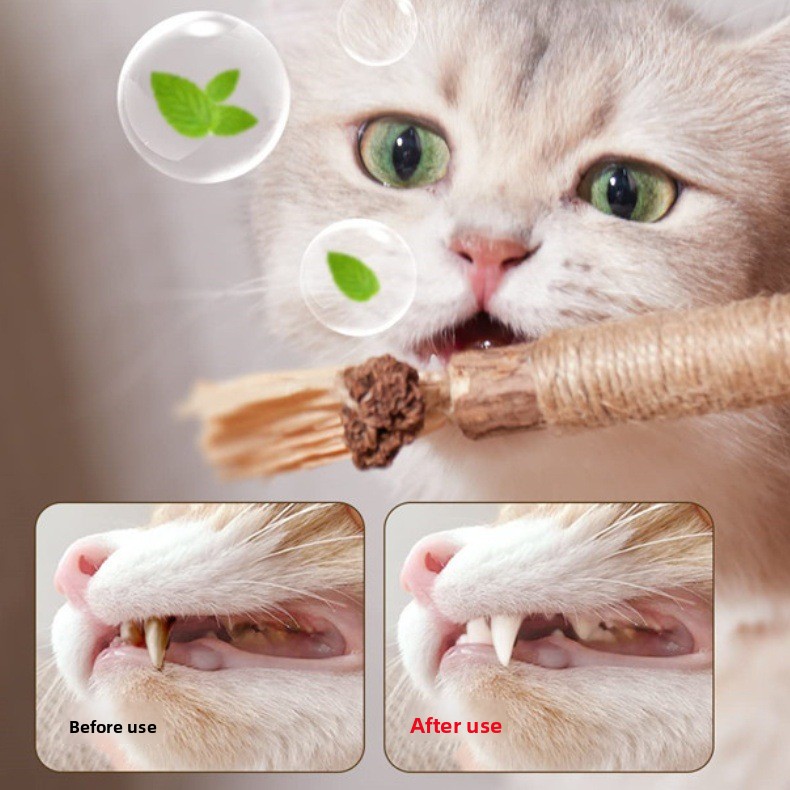 Catnip Teething Stick for Cats – Natural Dental Chew Toy for Healthy Teeth & Gums