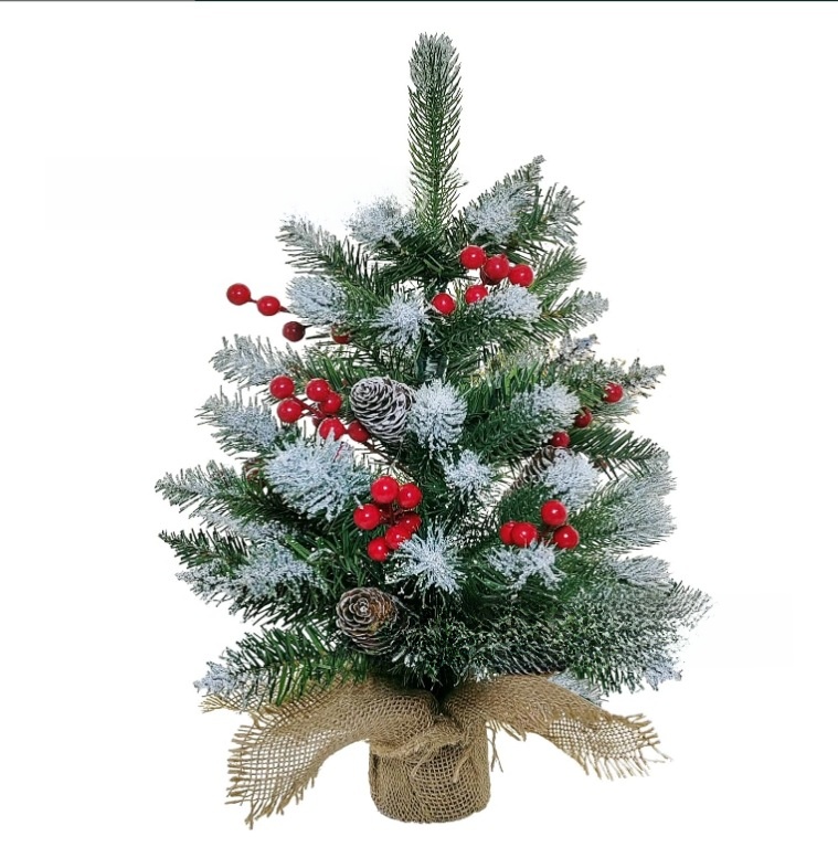 _20241113145555 (28).jpg