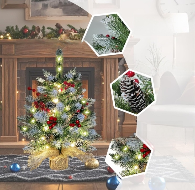 _20241113145555 (31).jpg