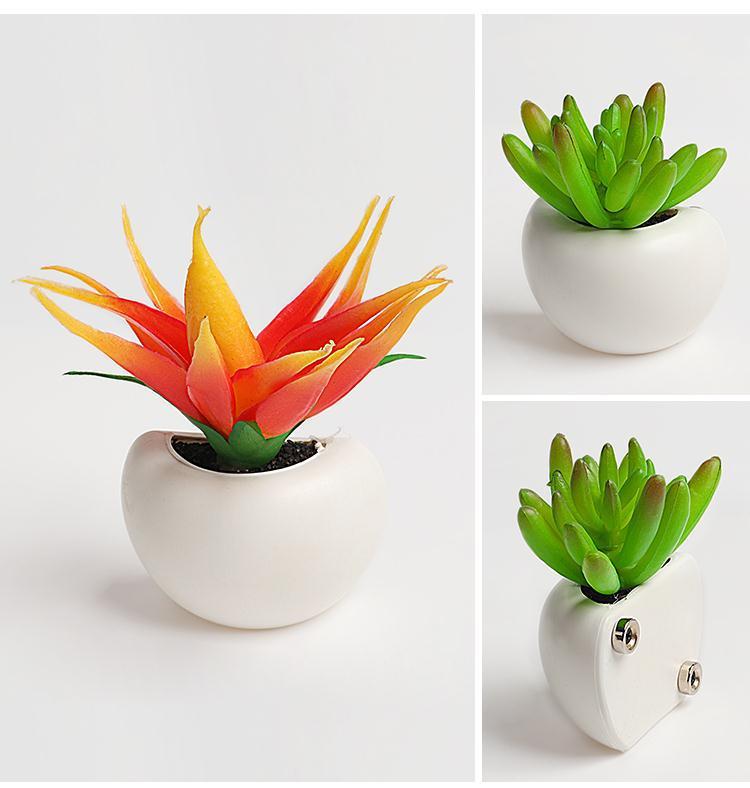3D Plant Refrigerator Magnets - Money Mosaic