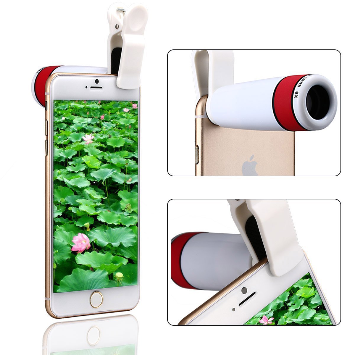 5460167686_587784560