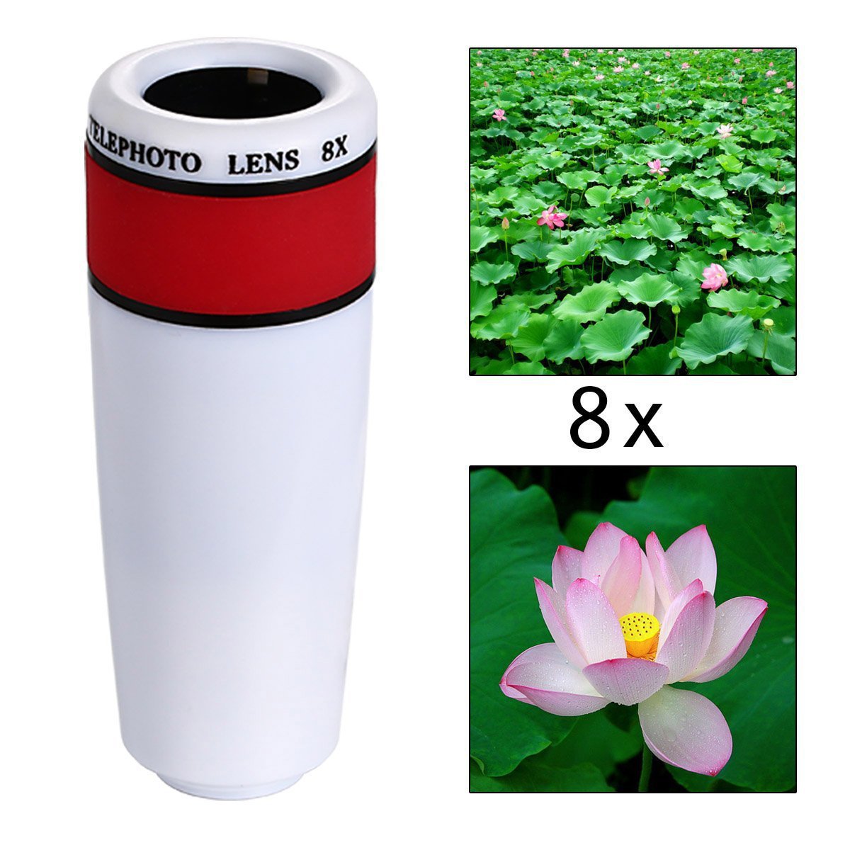 5460158861_587784560