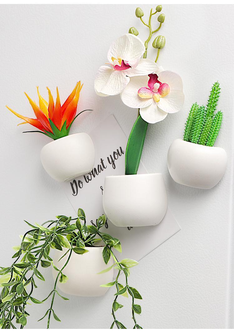 3D Plant Refrigerator Magnets - On Fridge