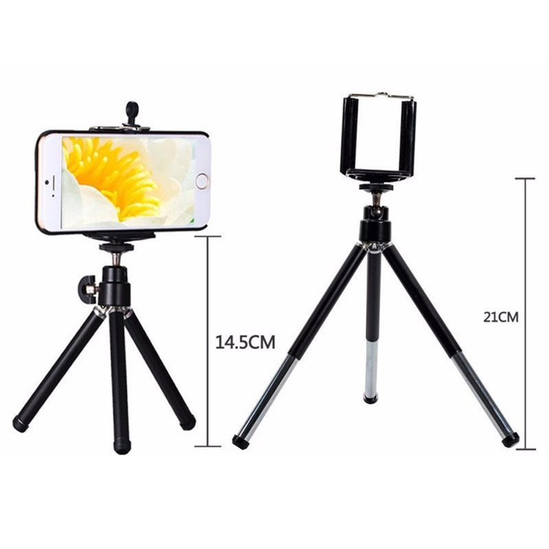 4914524778_931119378