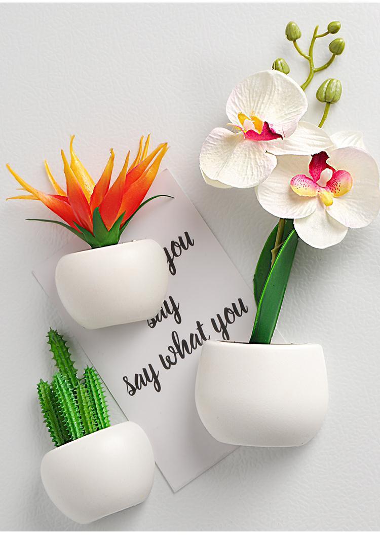3D Plant Refrigerator Magnets - Beauty Finger