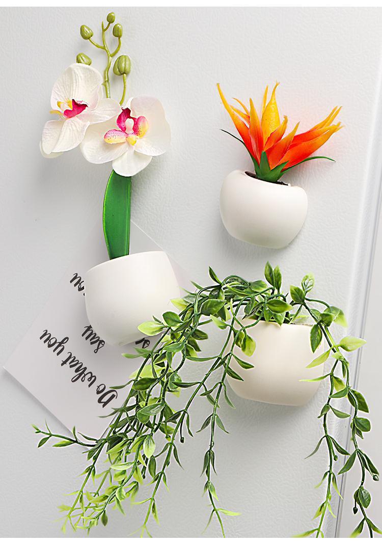 3D Plant Refrigerator Magnets - Plant Set of 5