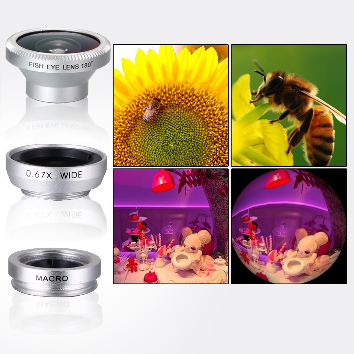 5460304444_587784560