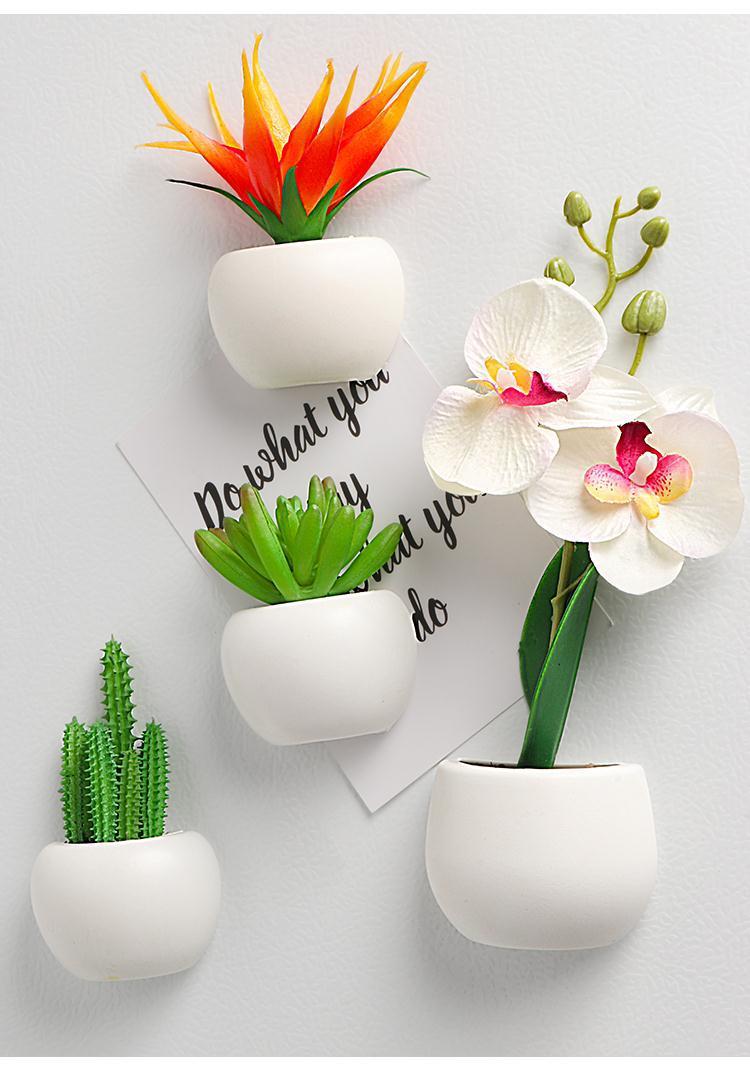 3D Plant Refrigerator Magnets - Decorative Use