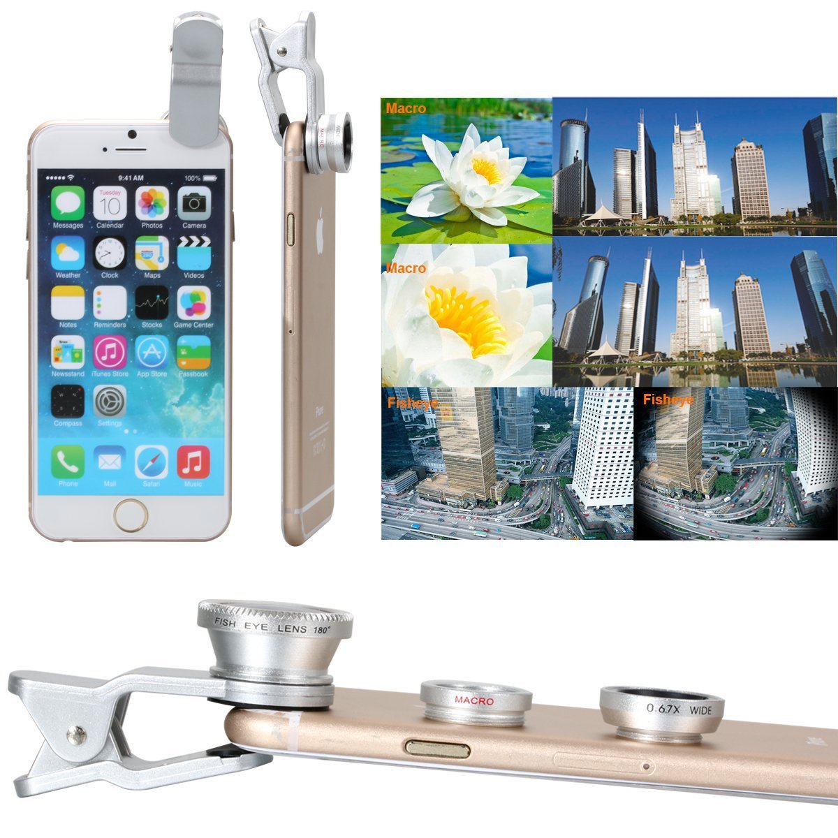 5460295962_587784560