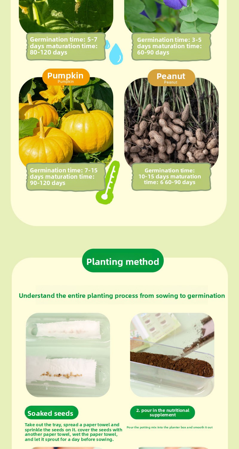 Plant Root Growth Observation Kit for Kids – Clear Planter – image 9