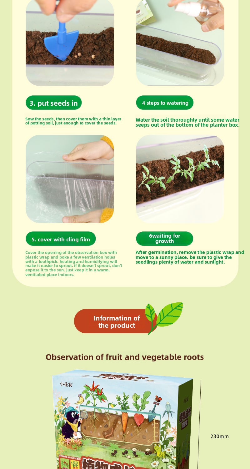 Plant Root Growth Observation Kit for Kids – Clear Planter – image 10
