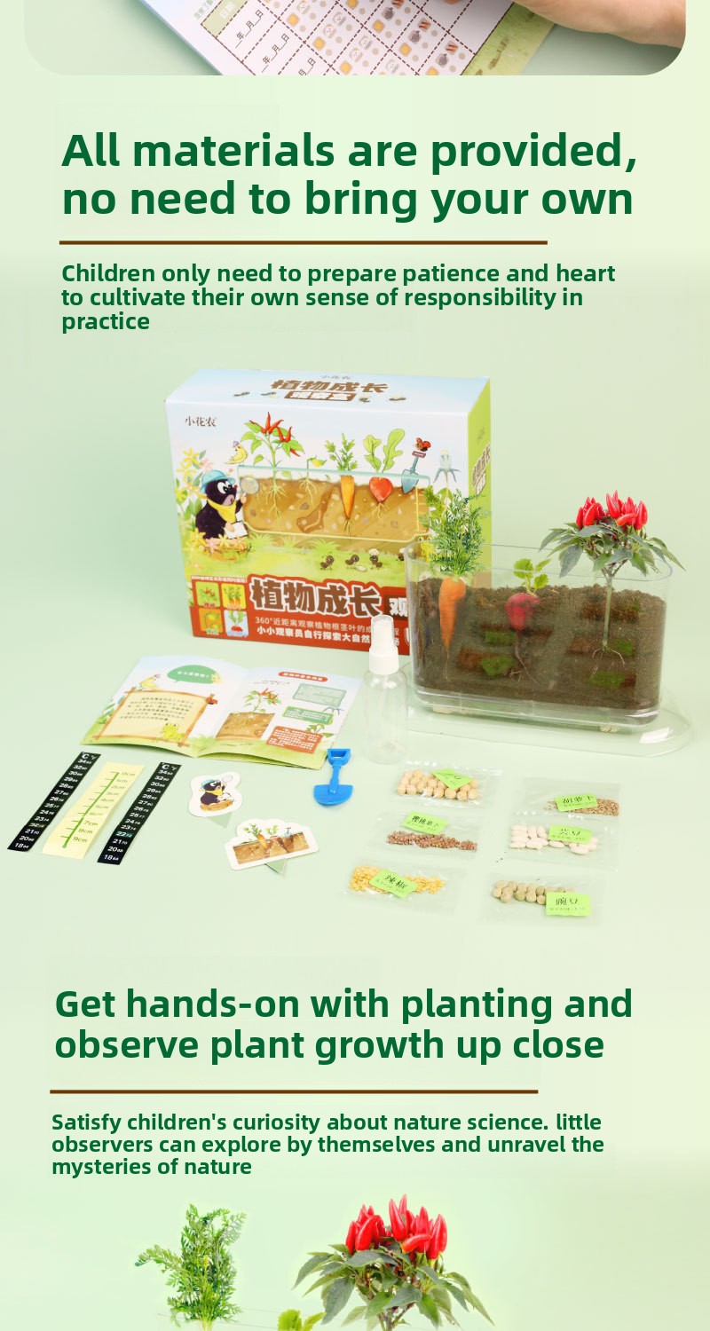 Plant Root Growth Observation Kit for Kids – Clear Planter – image 6