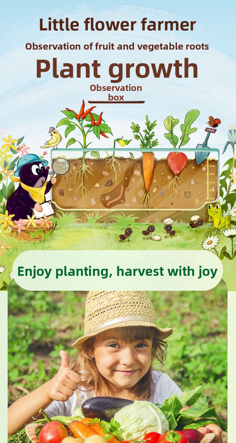 Plant Root Growth Observation Kit for Kids – Clear Planter – image 1