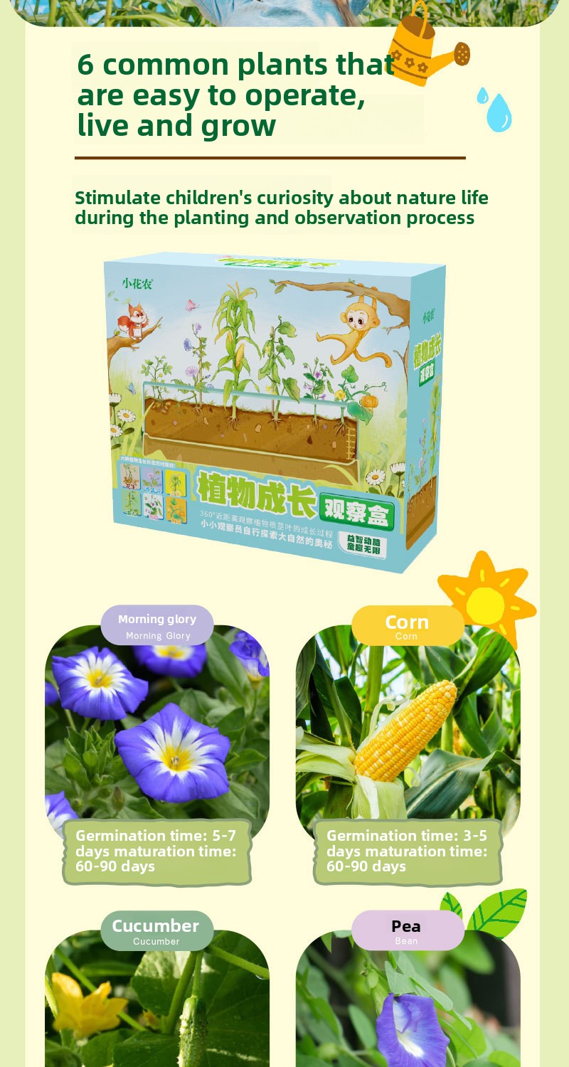 Plant Root Growth Observation Kit for Kids – Clear Planter – image 8