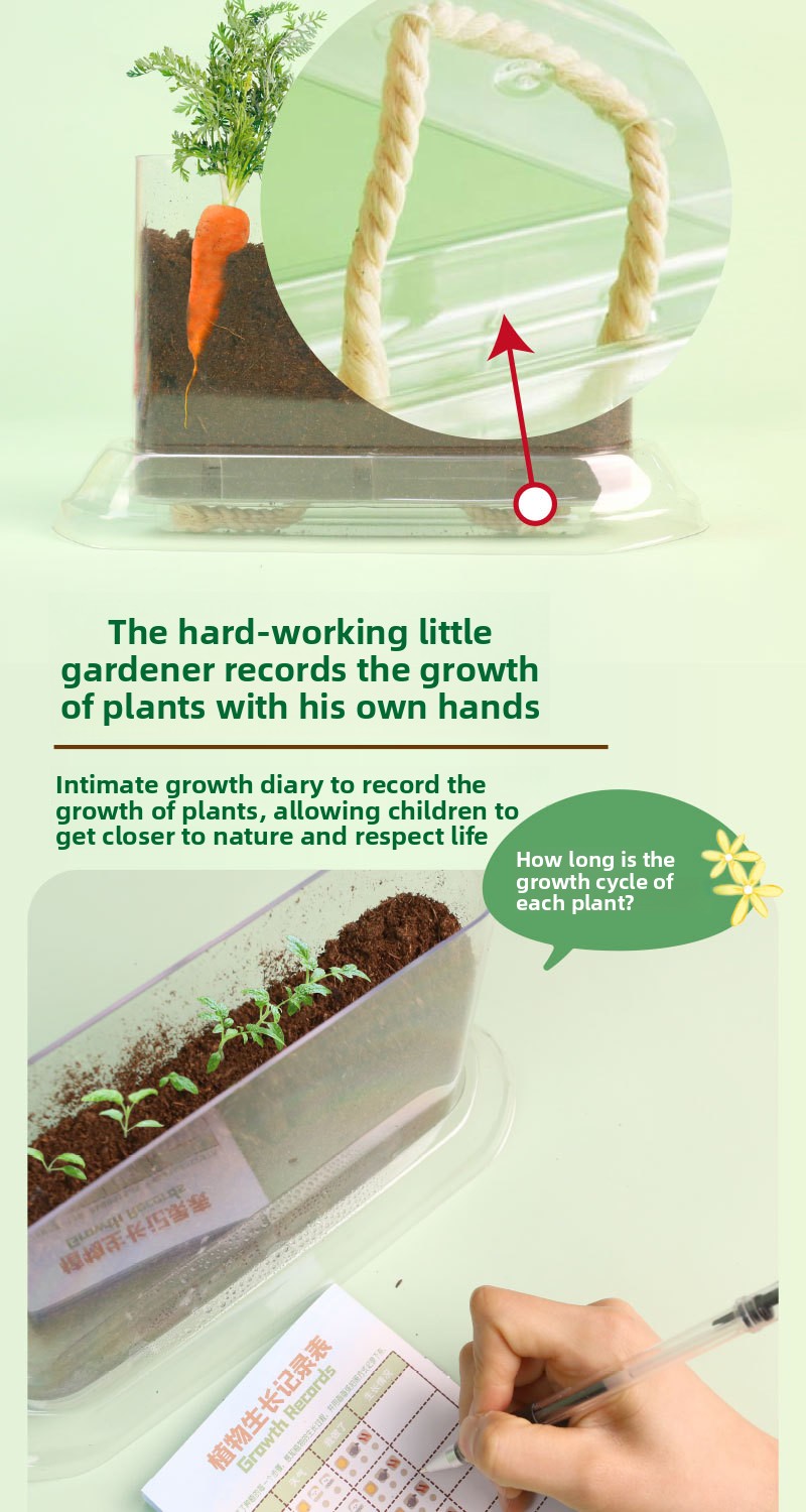 Plant Root Growth Observation Kit for Kids – Clear Planter – image 5