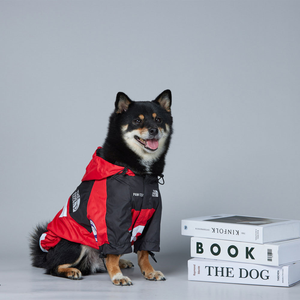 O1CN01Bvedoj288kx1xNP9t_!!2214