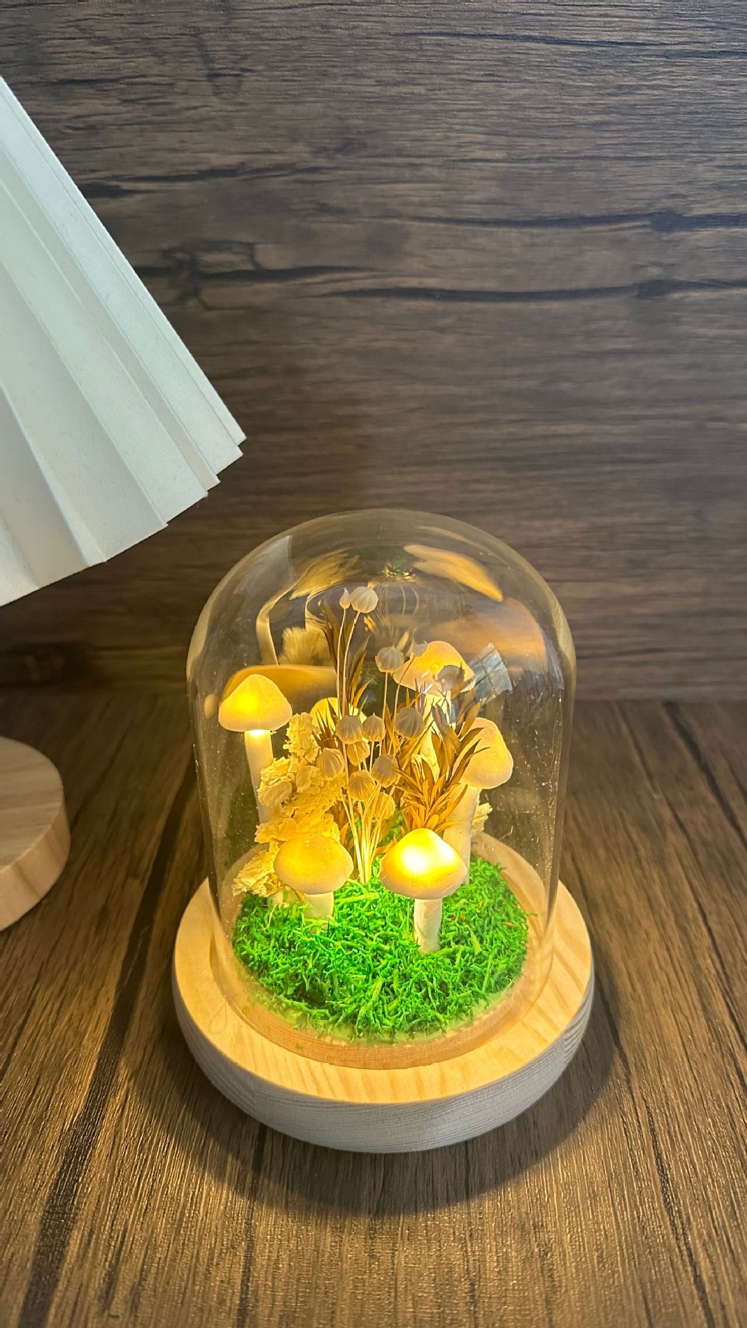 DIY Mushroom LED Night Light - Assembly Kit