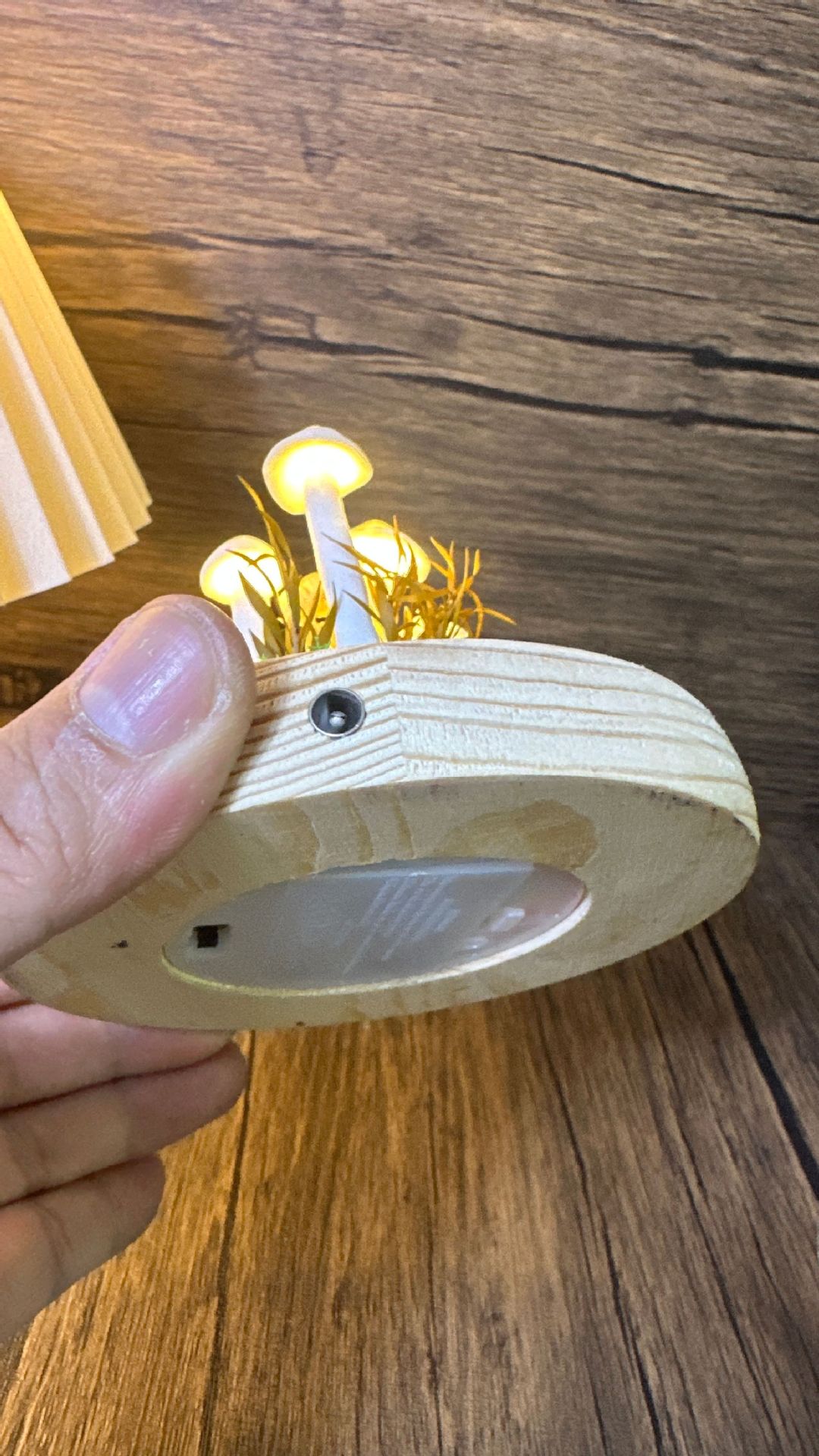 DIY Mushroom LED Night Light - Packaging