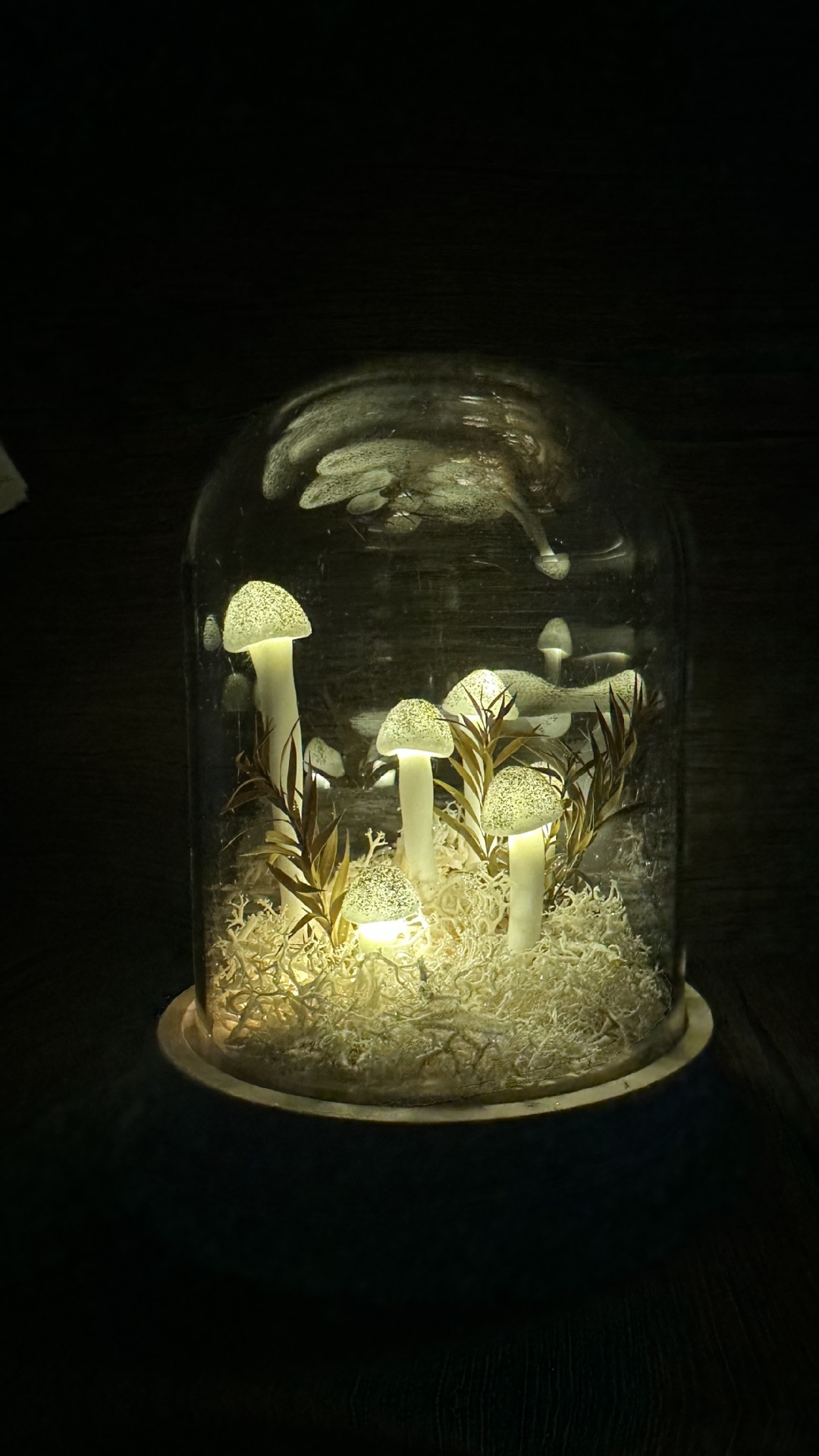 DIY Mushroom LED Night Light - Detail View