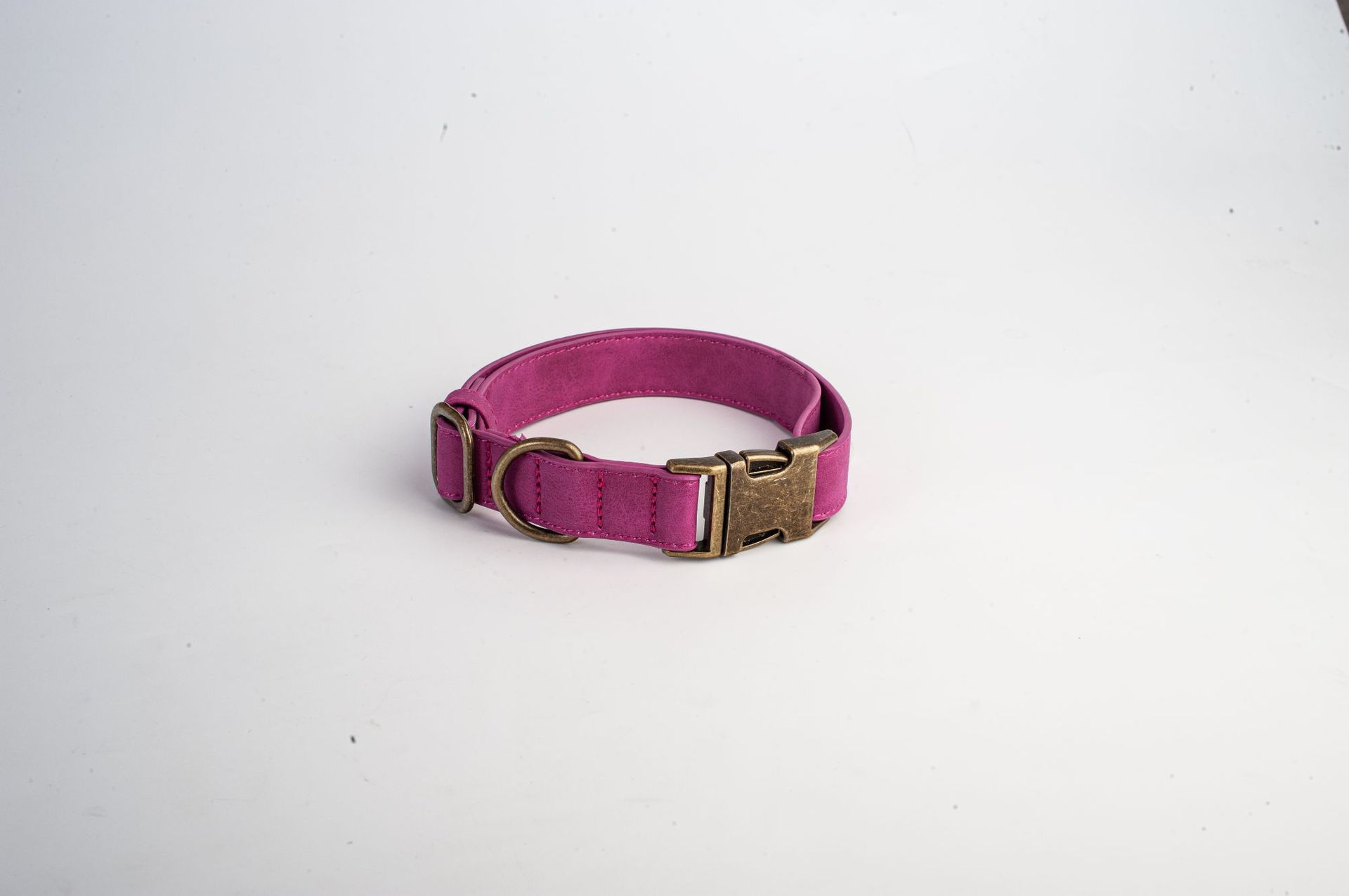 Dog Collar Leather - Stylish Look