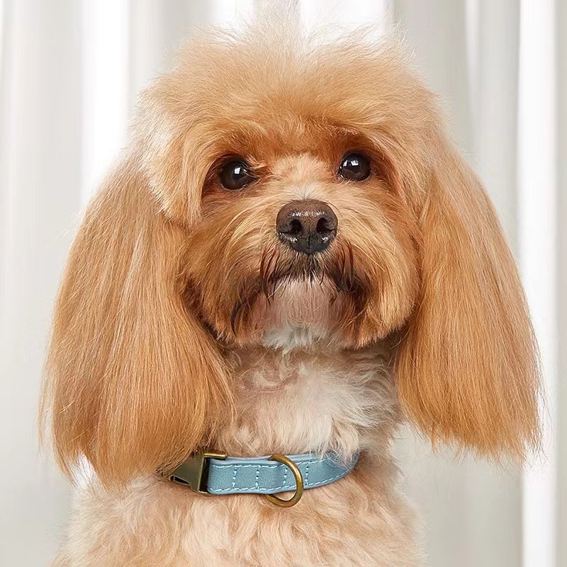 Dog Collar Leather - Perfect for Dogs