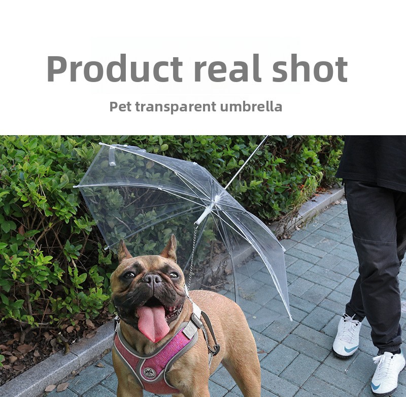 宠物雨伞太阳伞