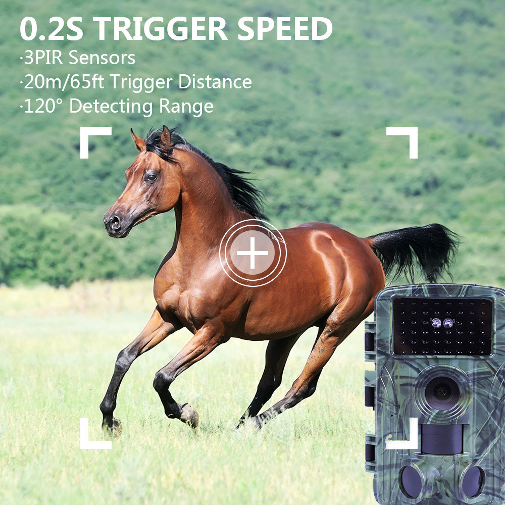 Wifi wild camera (3)