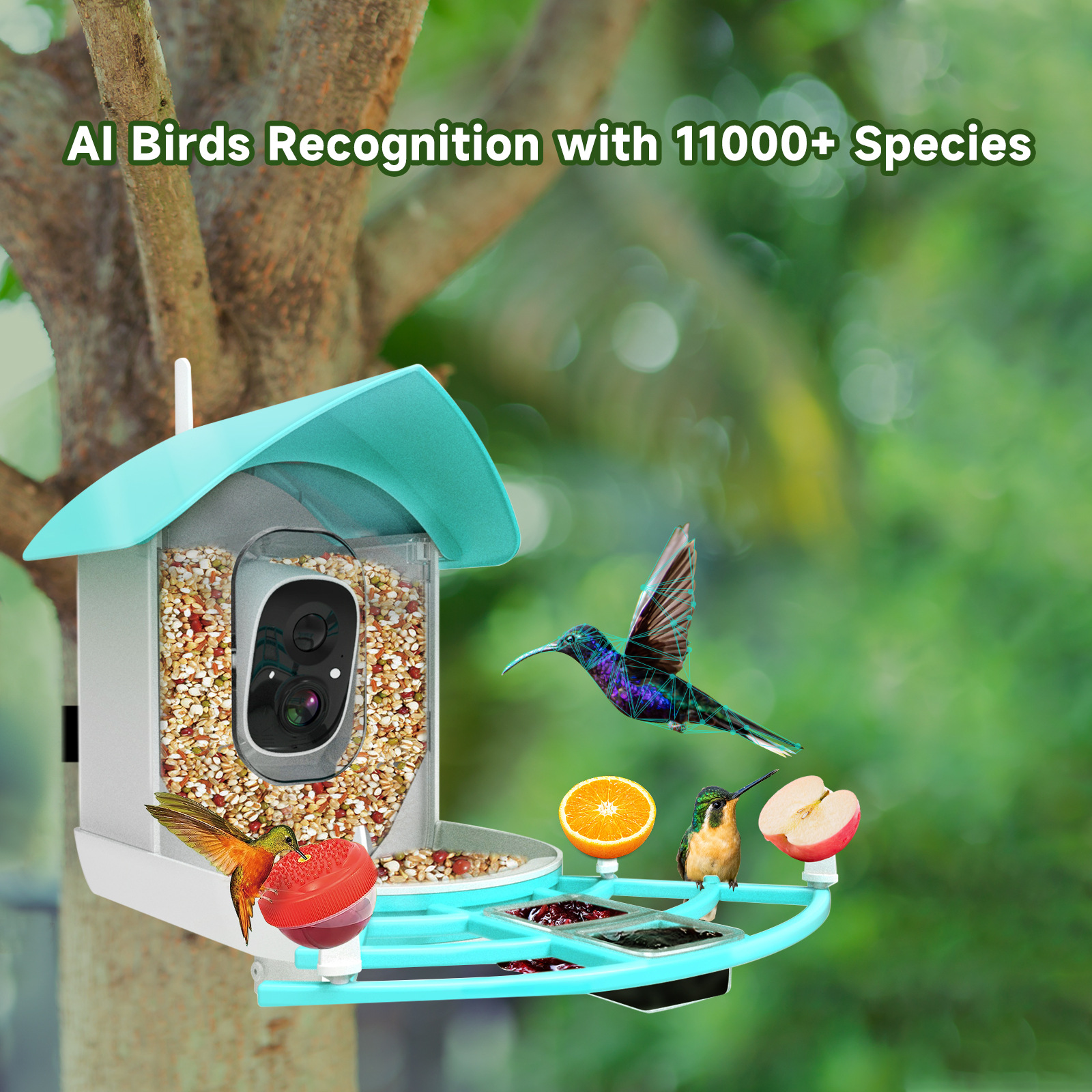 undefined