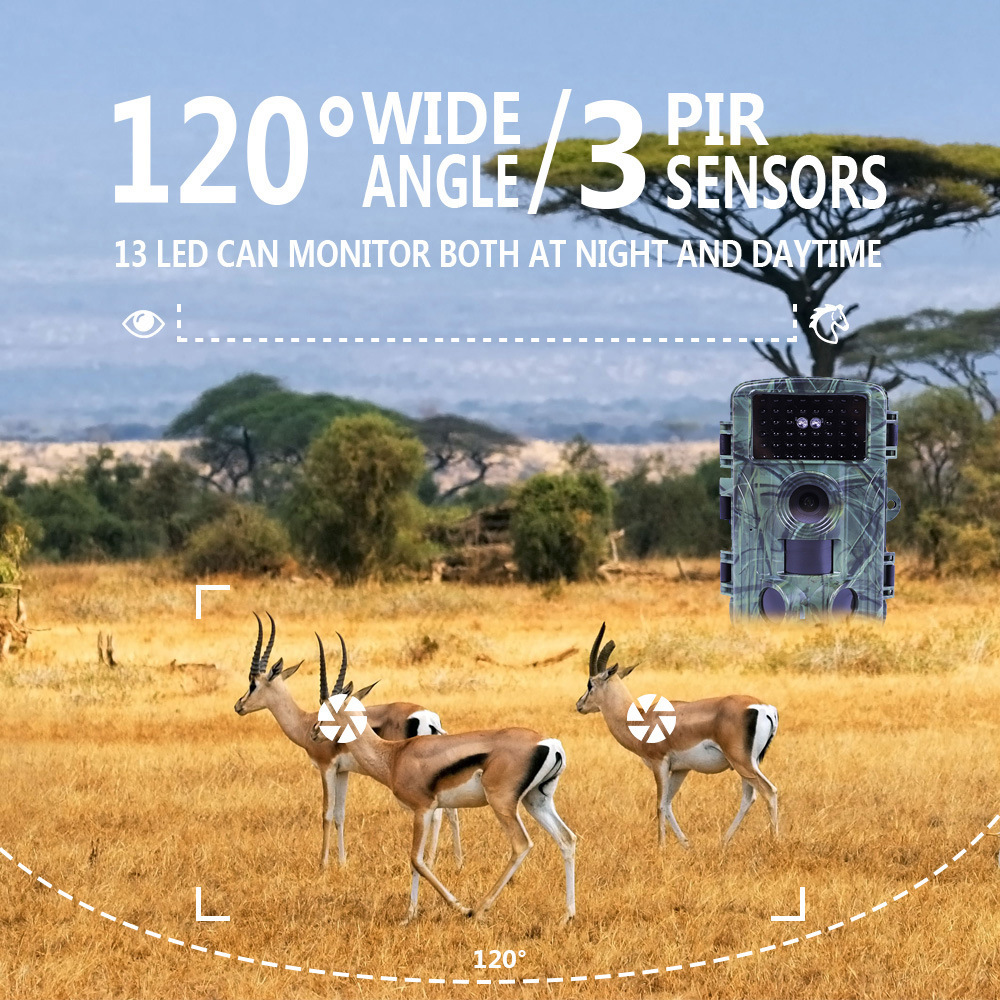 Wifi wild camera (4)