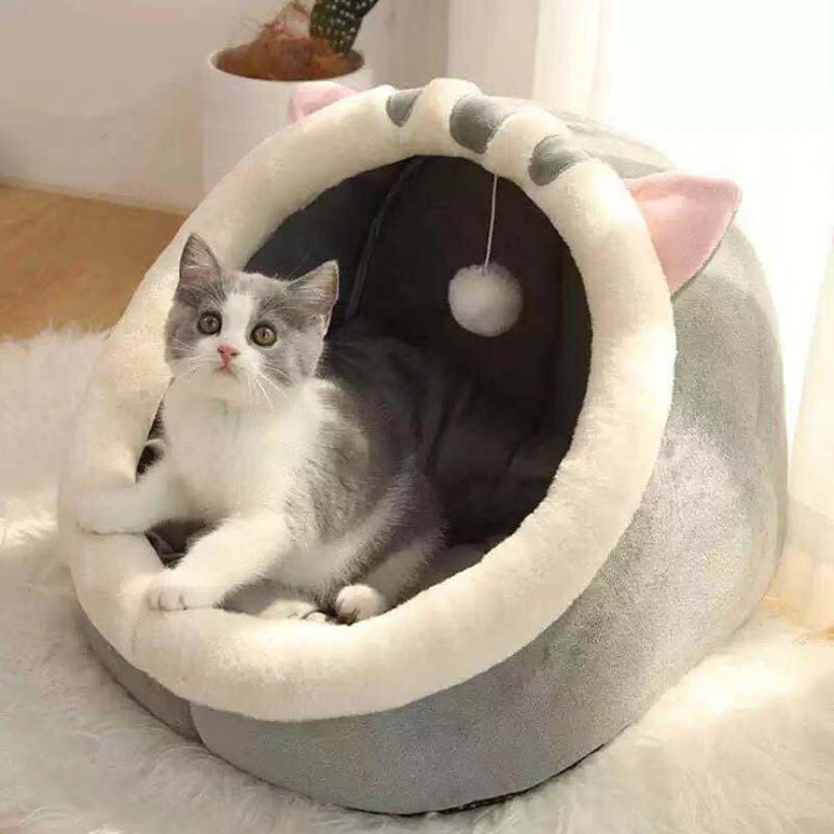?????