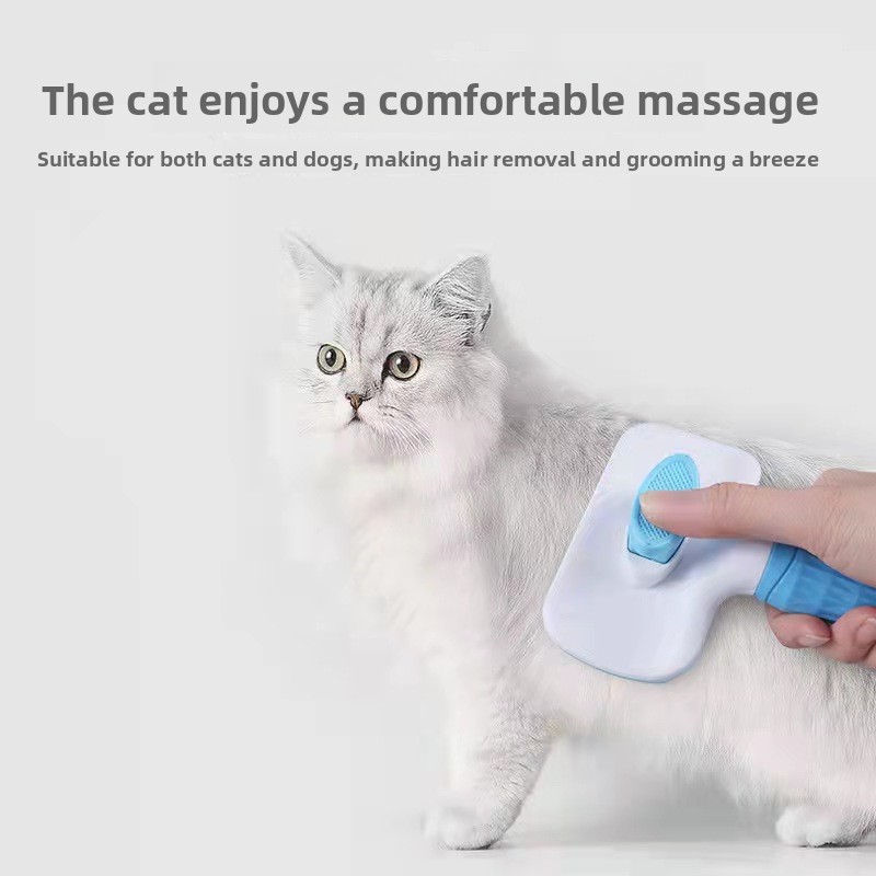 ????