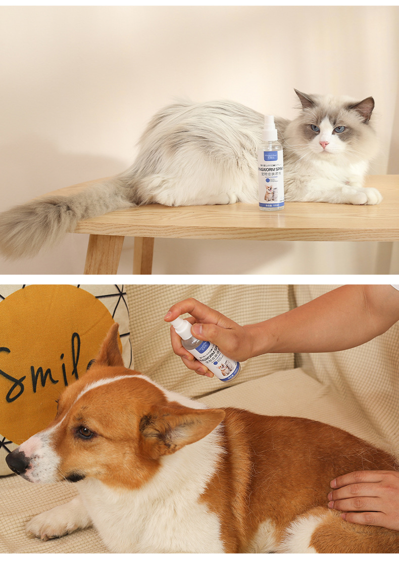 Antibacterial skin care spray for cats and dogs external use