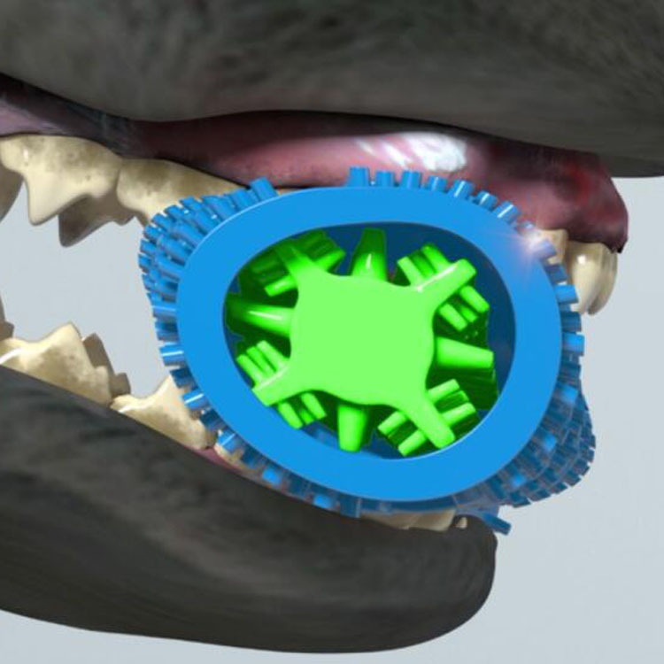 ?5?.jpg