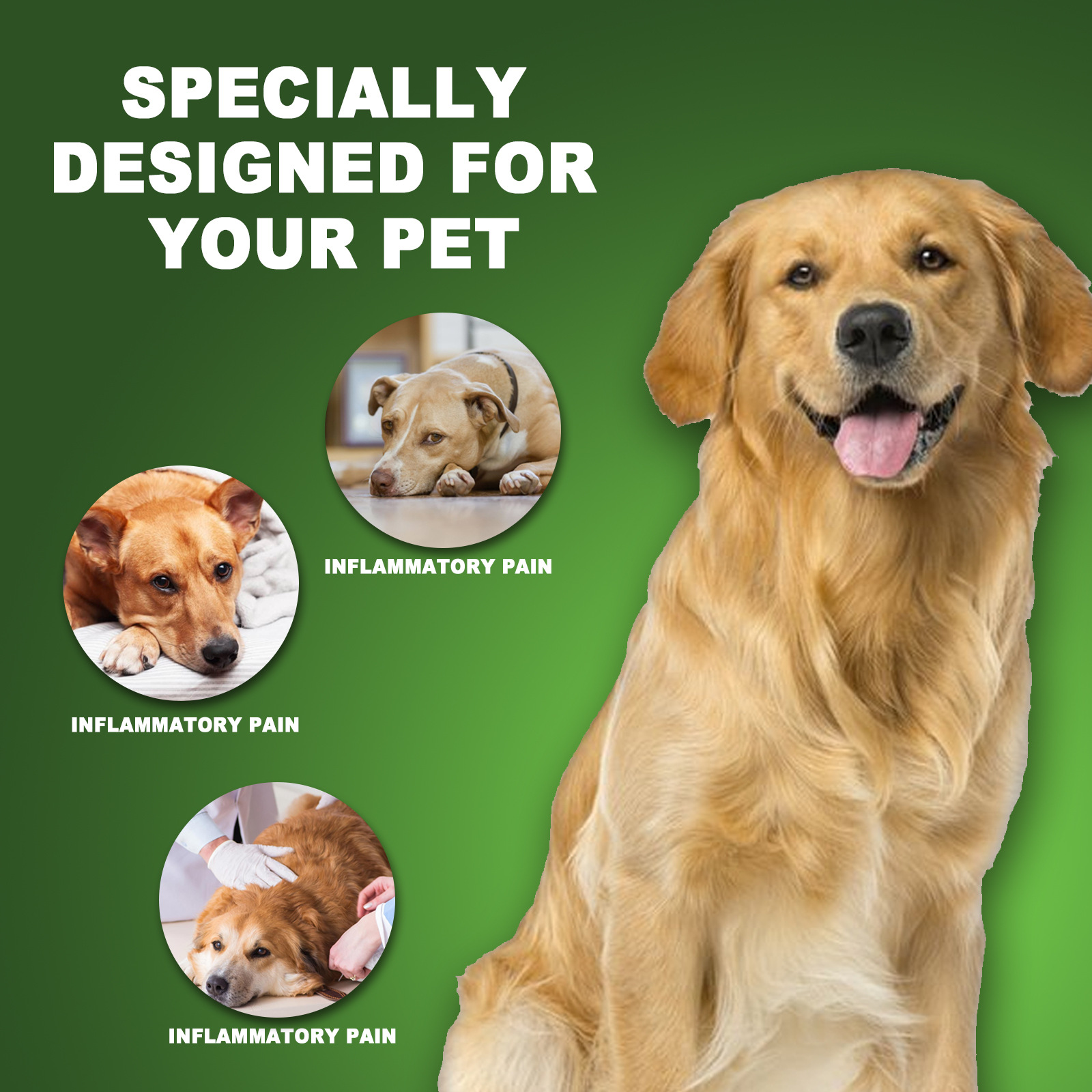 Daily body care drops for cats and dogs TinPaw