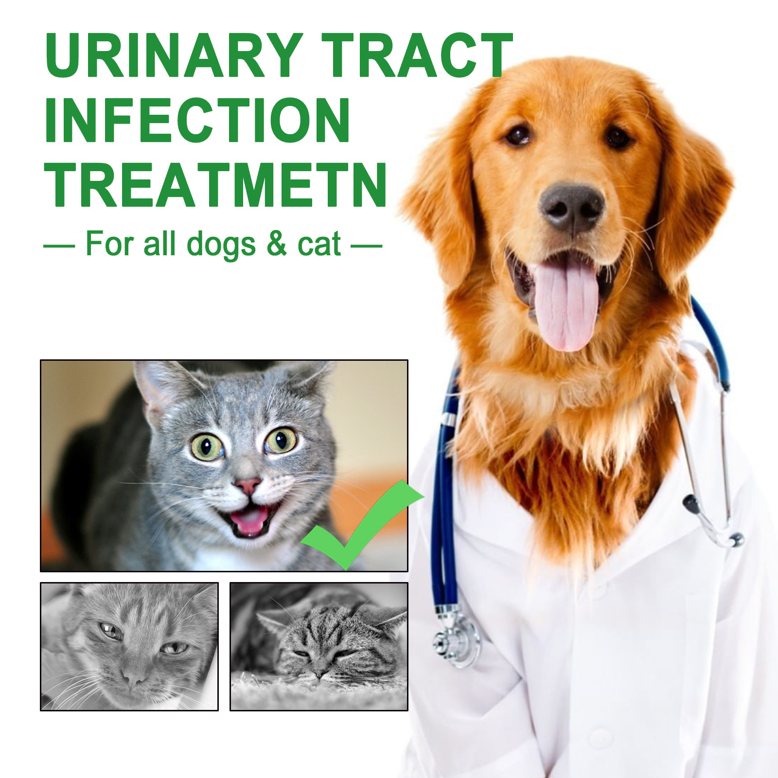 Pet daily care drops mild ingredients TinPaw 60ml