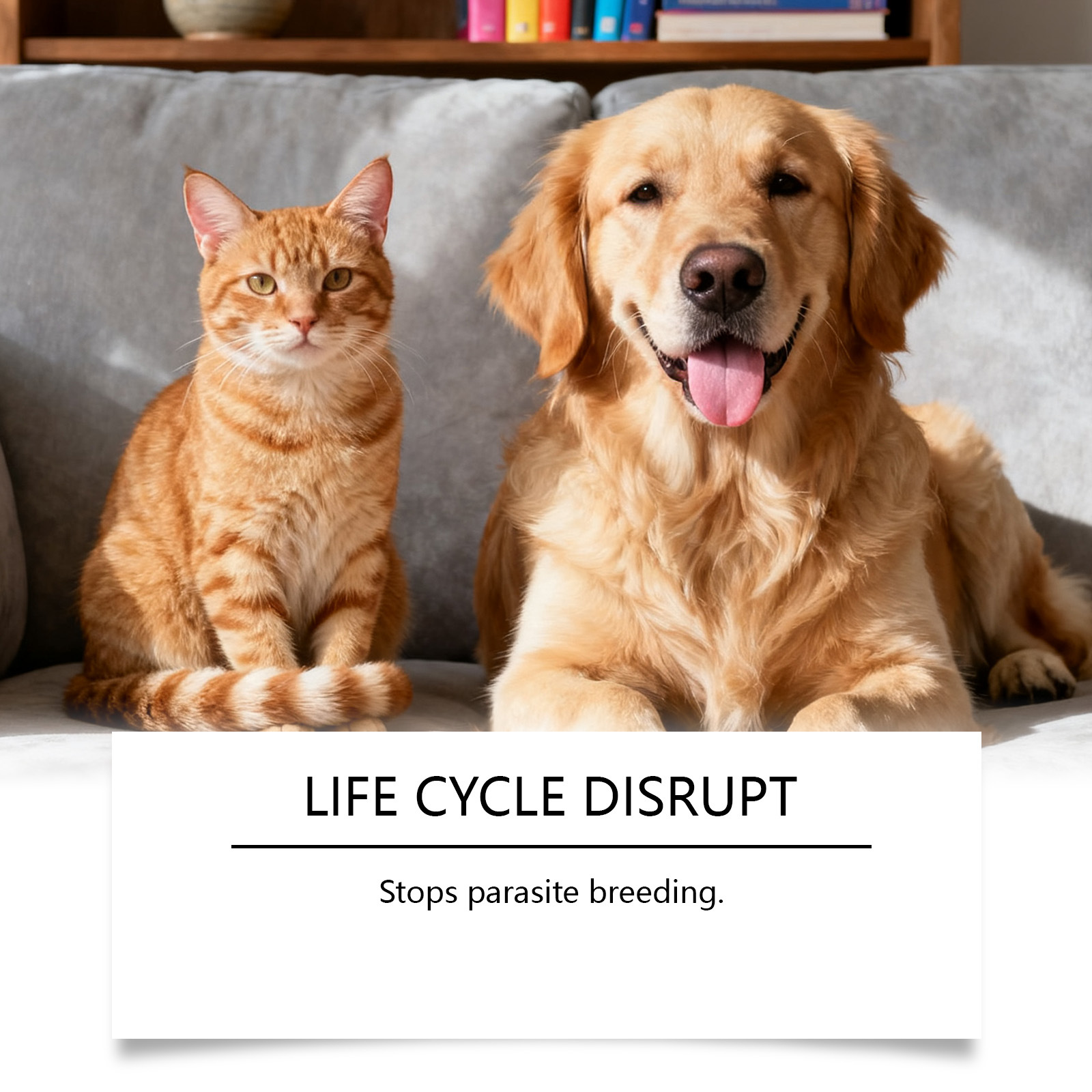 Pet skin nourishment drops healthy coat maintenance