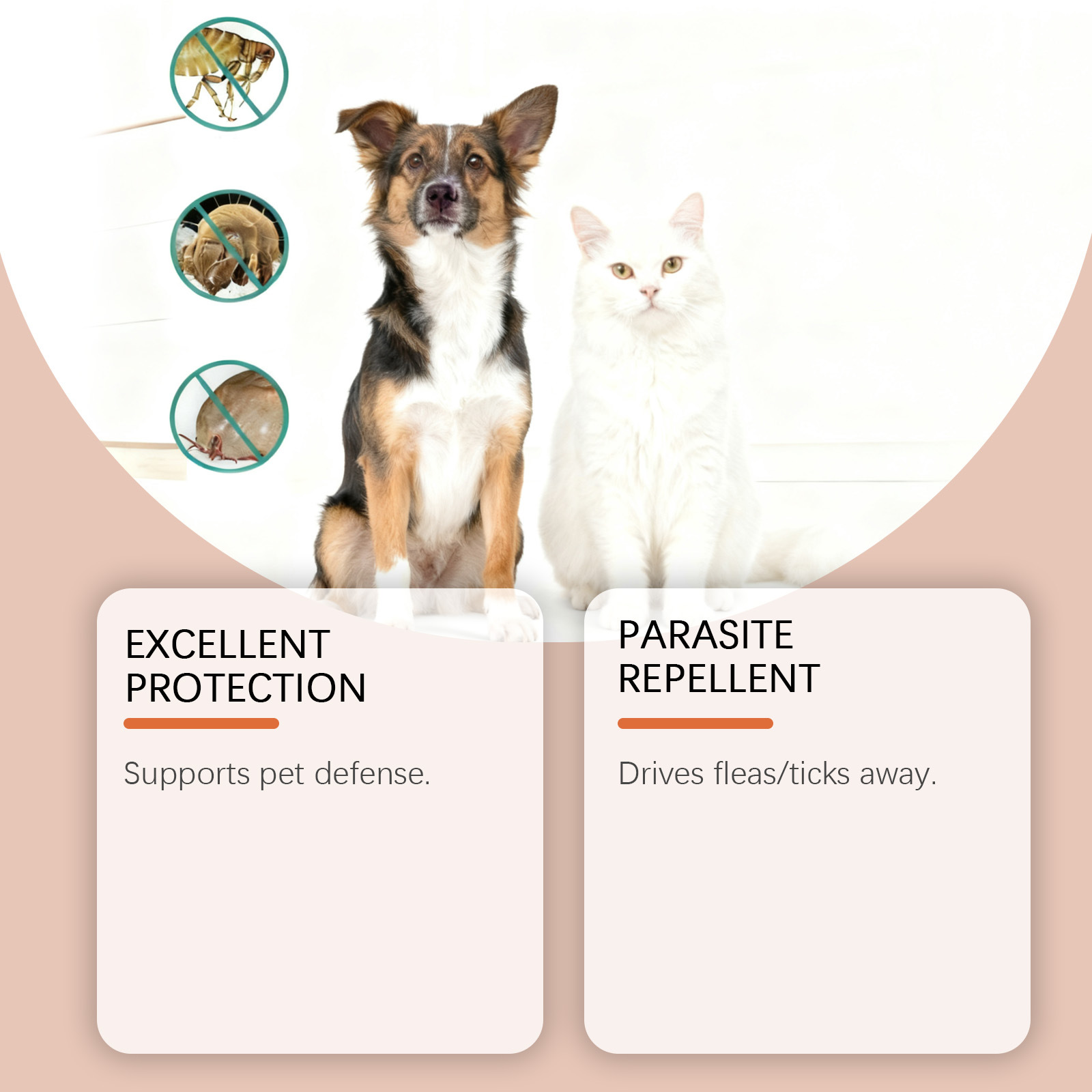 Cat body care drops dropper bottle 60ml
